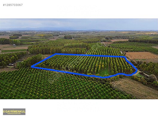 YATIRIM FIRSATI! ERENLER/ŞEYHKÖY MAH. 24.620 M² - SAKARYA ERENLER fotoğraf 36