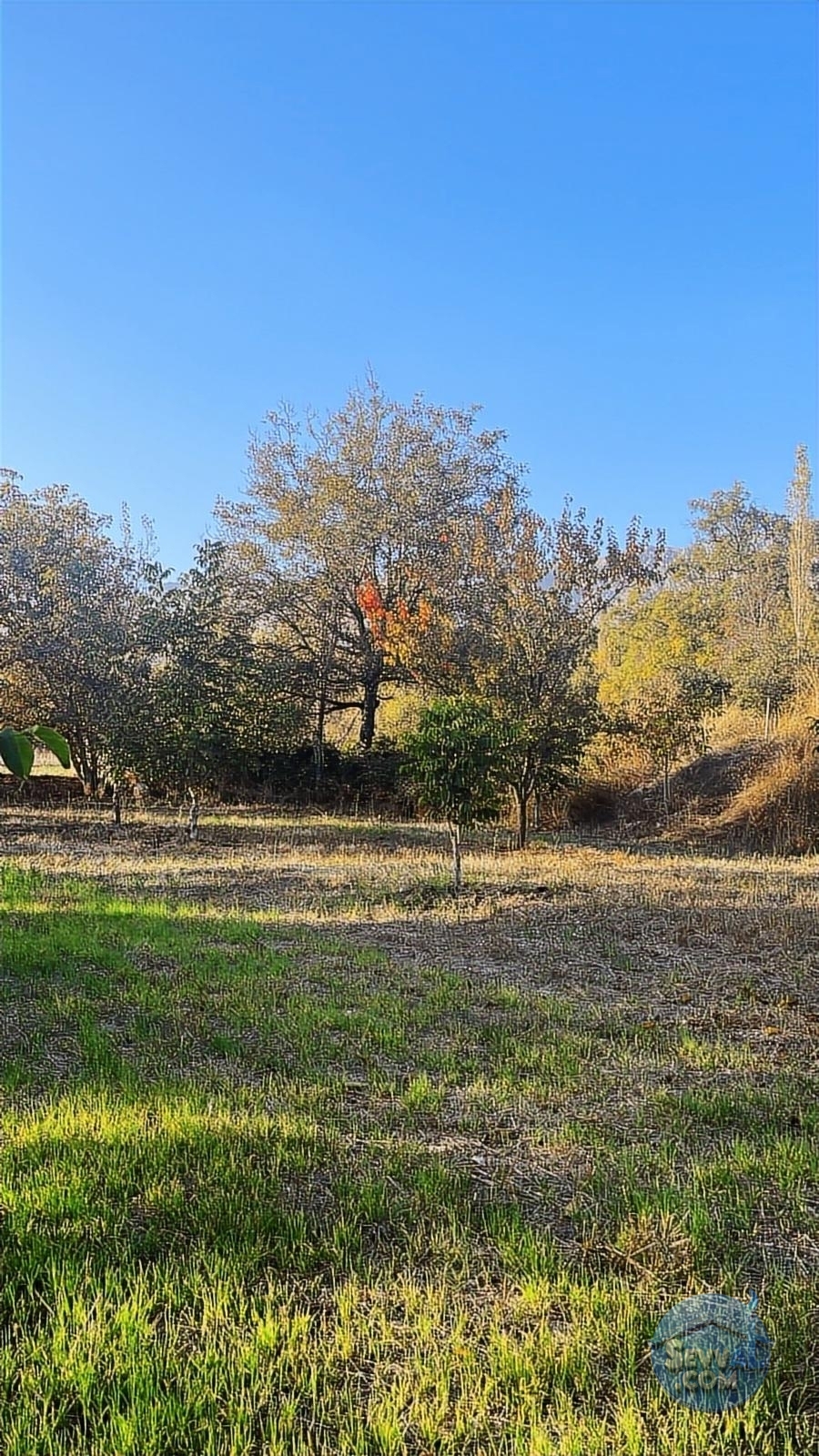 ASYA EVİM GAYRİMENKULDEN SAKARCA MAH.SATILIK ARAZİ - Burdur Ağlasun fotoğraf 13