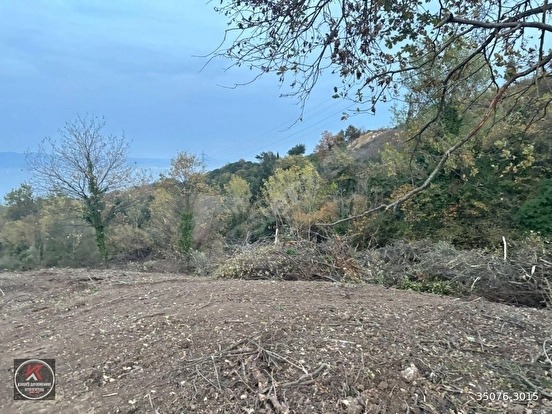 KARAMÜRSEL DEREKÖY’DE 19.309 M² KONUT ALANLI, TARIMSAL KULLANIMA UYGUN YATIRIM A - KOCAELİ KARAMÜRSEL fotoğraf 22