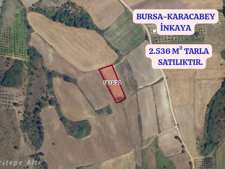 BURSA KARACABEY İNKAYA KÖYÜNDE 2.536 M²  TARLA SATILIKTIR - BURSA KARACABEY fotoğraf 2