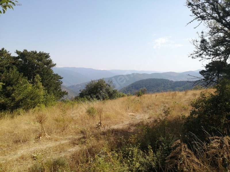 TAŞKESTİ EMLAKTAN ÇAĞŞAK KÖYÜNDE 10573 M2 YATIRIMLIK TARLA - BOLU MUDURNU fotoğraf 9