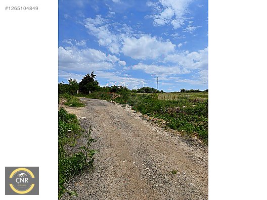 519 HİSSE ÇAPLI YERLEŞİM İÇERİSİNDE KÖYE YAKIN - İSTANBUL ÇATALCA fotoğraf 5