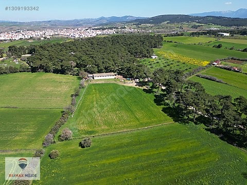 Çanakkale Bayramiç Kutluoba Satılık Tarla - ÇANAKKALE BAYRAMİÇ fotoğraf 15