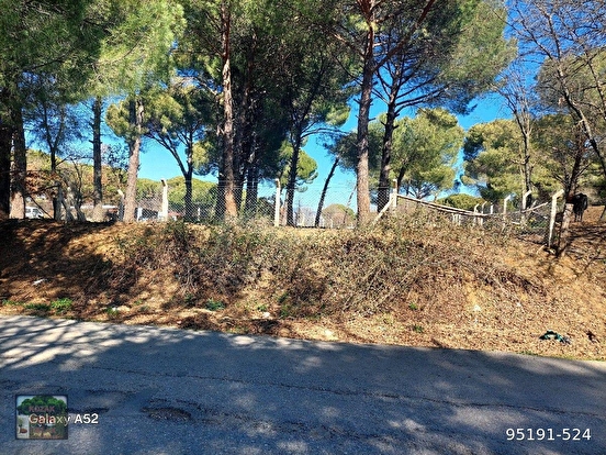 BERGAMA KOZAK YAYLASI YUKARIBEY MAH DE 950 m2 FISTIKLIK