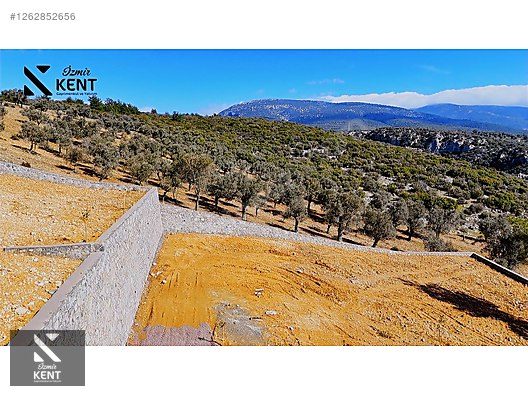 Kemalpaşa Ansızca Satılık 1406 m2 Bahçe - İZMİR KEMALPAŞA fotoğraf 13