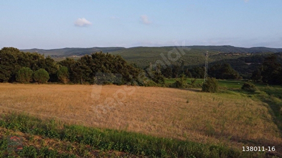 Balıkesir/Gönen'in Doğa İle İç İçe Köyünde 9.050 m² ve 7.260 m² Sulu(Pompaj) Tar - BALIKESİR GÖNEN fotoğraf 11