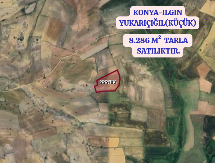 KONYA ILGIN YUKARIÇIĞIL (KÜÇÜK)   KÖYÜNDE 8.286  M²   TARLA SATILIKTIR - KONYA ILGIN fotoğraf 2