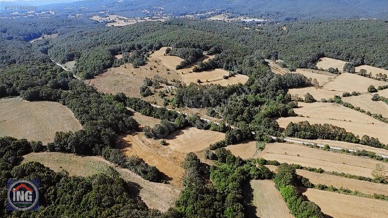 BEYPINAR KÖY DİBİNDE ASFALT YOLU OLAN ETRAFI ÇEVRİLİ ARAZİ - KIRKLARELİ MERKEZ fotoğraf 7