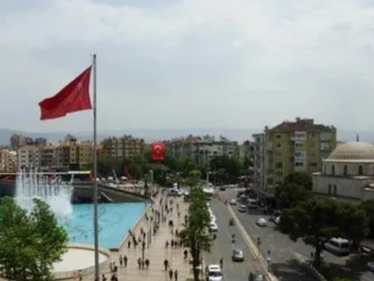 AYDIN KARPUZLU MERİÇLER  KÖYÜNDE 1.822 M²  ZEYTİNLİK SATILIKTIR - AYDIN KARPUZLU fotoğraf 9