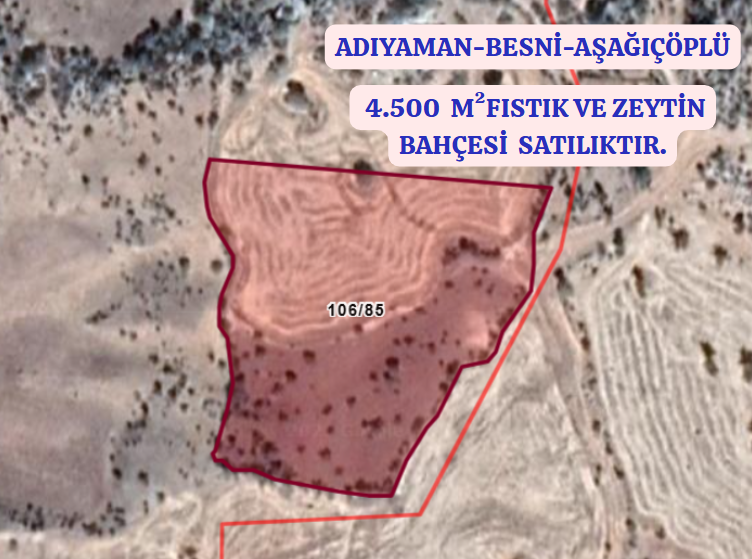 ADIYAMAN BESNİ AŞAĞIÇÖPLÜ KÖYÜNDE 10.000 M² FISTIK VE ZEYTİN BAHÇESİ SATILIKTIR. - ADIYAMAN BESNİ fotoğraf 2