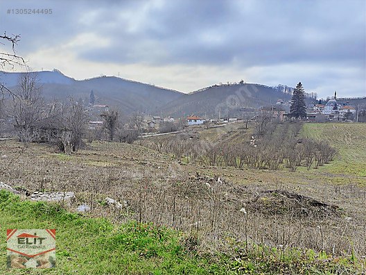 Kocaali Kirazlı'da 4.286m² Fındık Bahçesi ve 780m² İmarlı Arsa - SAKARYA KOCAALİ fotoğraf 31