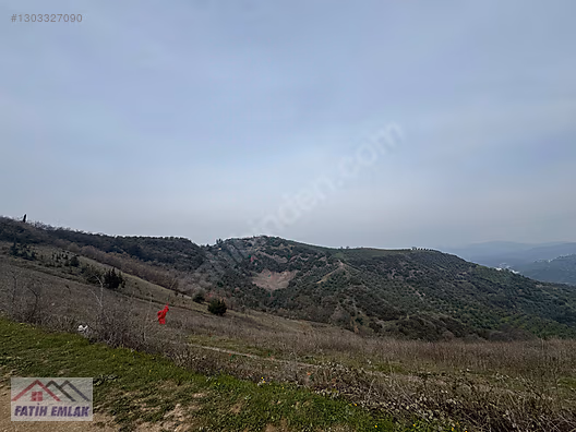 GEMLİK MURATOBA KÖYÜNDE 4695m² SATILIK ZEYTİNLİK - BURSA GEMLİK fotoğraf 19