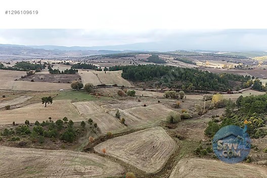 Kütahya Gediz Samralar'da Uygun fiyatlı - KÜTAHYA GEDİZ fotoğraf 6