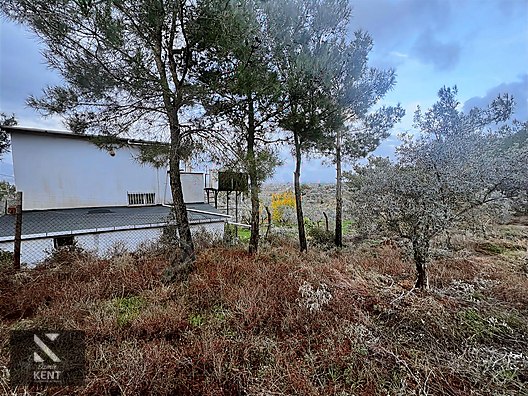 Kemalpaşa Armutlu Hürriyet Mah. Satılık 1.950 m2 Bahçe - İZMİR KEMALPAŞA fotoğraf 24
