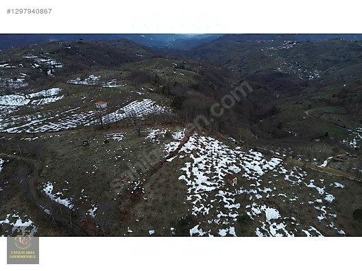 DÜZCE YIĞILCA HACILAR 'DA 2.744 M2 BAĞ EVİ OLAN FINDIK BAHÇESİ - DÜZCE YIĞILCA fotoğraf 17