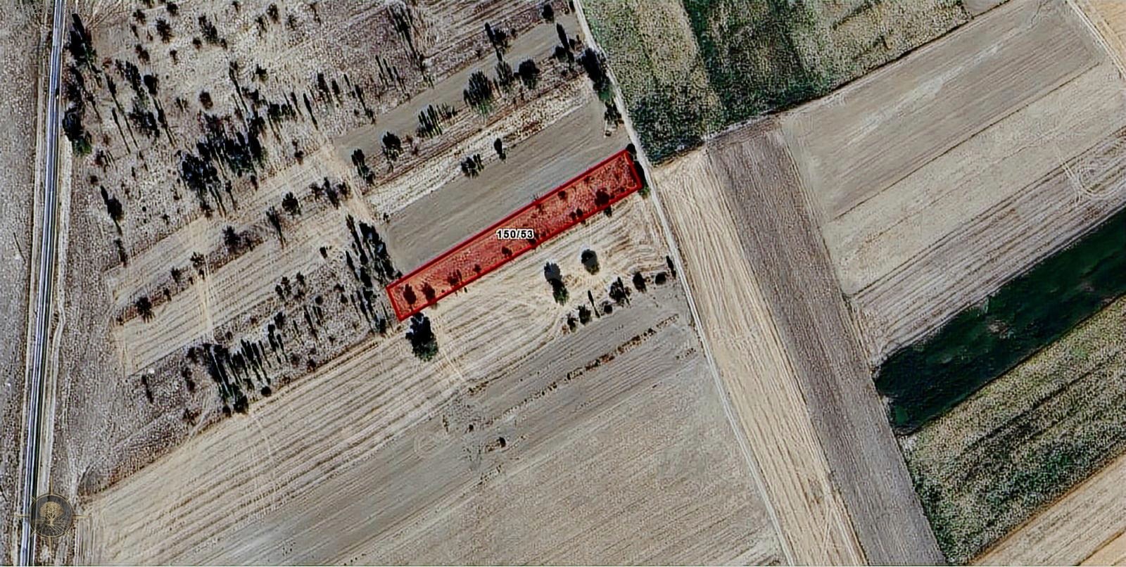 KÖY VE ANA ASFALTIN DİBİNDE RESMİ YOLLU 2.841M2 MEYVE BAHÇESİ - ESKİŞEHİR ÇİFTELER fotoğraf 2