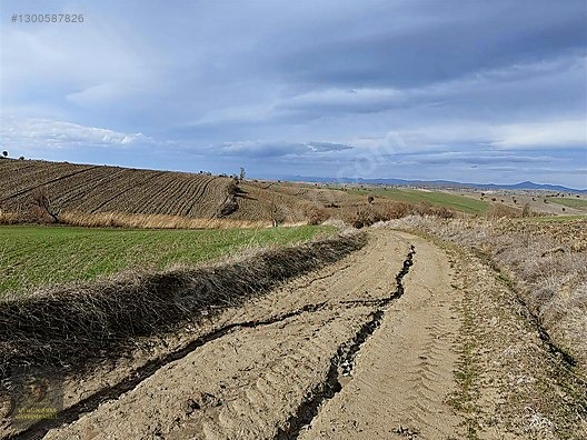 SAMSUN HAVZA KOCAPINAR'DA 4.754 M2 UYGUN ARSA - SAMSUN HAVZA fotoğraf 2