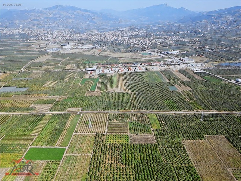SAKARYA GEYVE UMURBEY MAH. 2444,26 M2 SATILIK TARLA - SAKARYA GEYVE fotoğraf 2