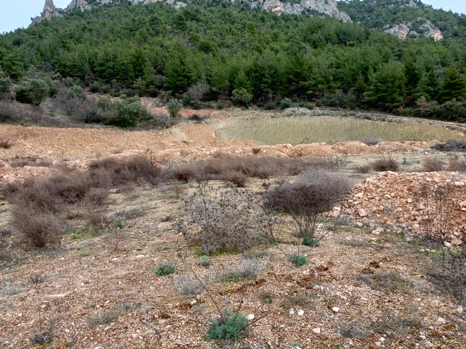 sahibinden satılık - BİLECİK OSMANELİ fotoğraf 15