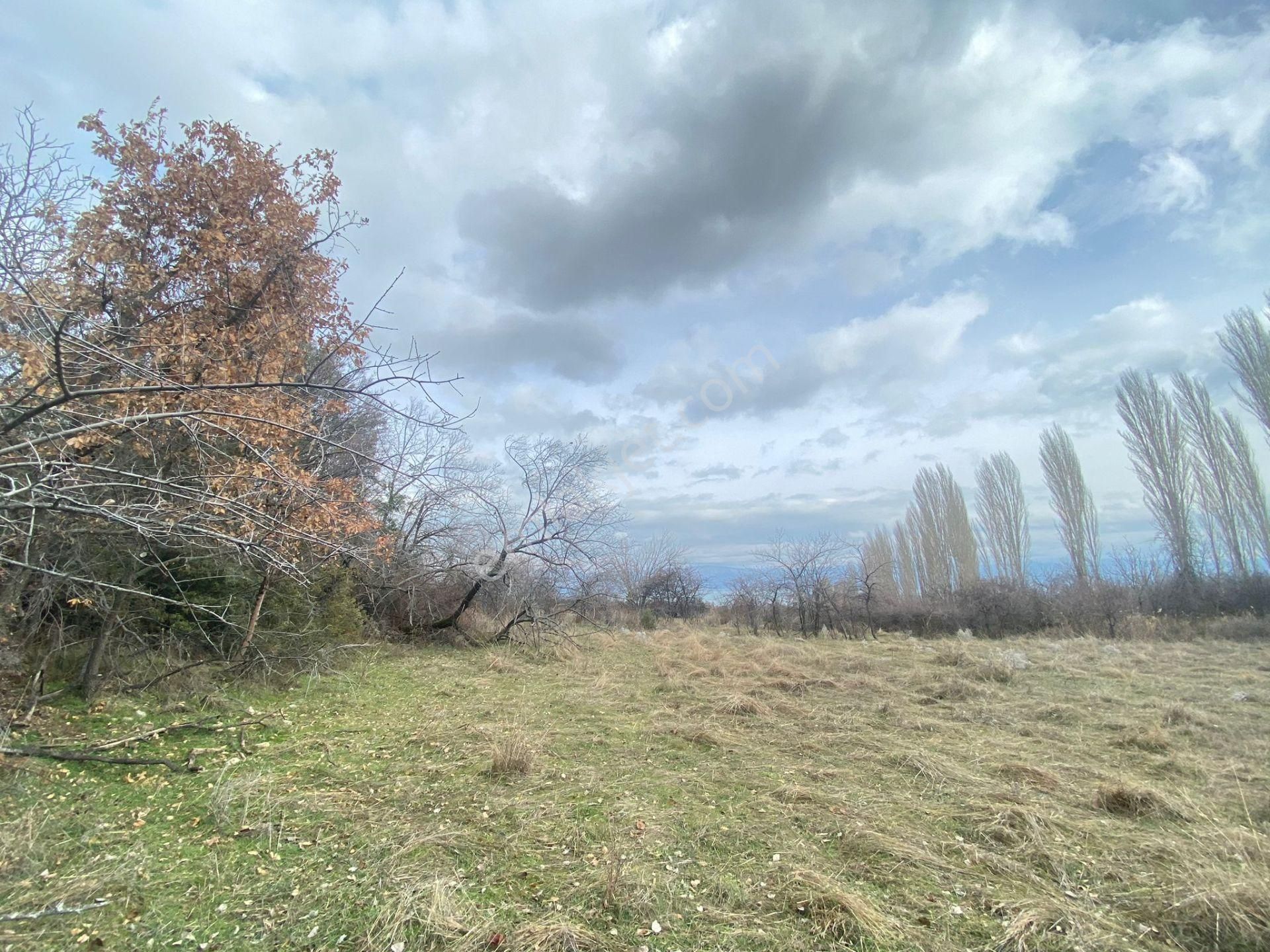 Isparta Eğirdir Bağören Satılık Göl Manzaralı Arazi - ISPARTA EĞİRDİR fotoğraf 13