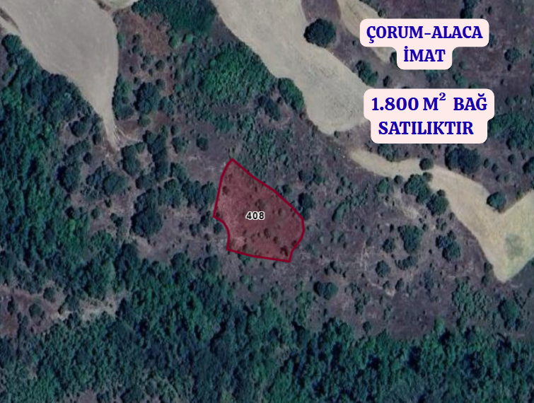 ÇORUM ALACA İMAT   KÖYÜNDE 1.800  M²  BAĞ  SATILIKTIR - ÇORUM ALACA fotoğraf 2