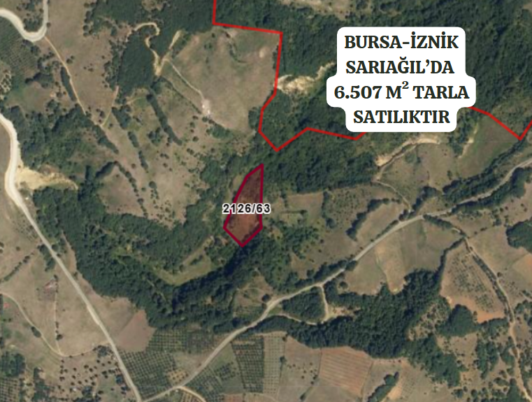BURSA İZNİK SARIAĞIL'DA 6.507 M² TARLAMIZ SATILIKTIR - BURSA İZNİK fotoğraf 2