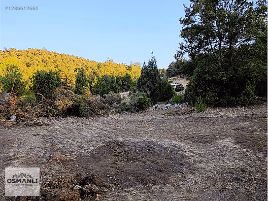 ARAÇ TAKASLI 3.150 M2, İLÇEYE 5 DK MESAFEDE YATIRIM FIRSATI - BİLECİK SÖĞÜT fotoğraf 11