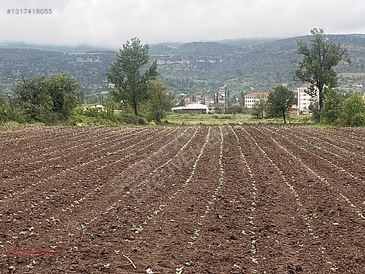 SATILIK SANAYİ BİTİŞİĞİ ARAZİİİİİİİİ - BİLECİK GÖLPAZARI fotoğraf 2