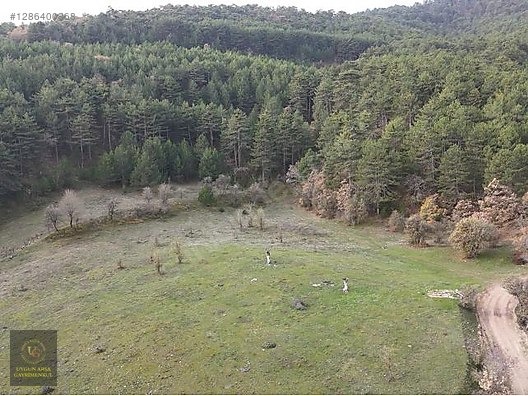 BOLU MUDURNU'DA OTELLER BÖLGESİNDE 7.965M2 UYGUN ARSA - BOLU MUDURNU fotoğraf 15