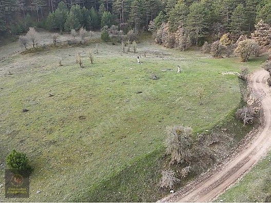 BOLU MUDURNU'DA OTELLER BÖLGESİNDE 7.965M2 UYGUN ARSA - BOLU MUDURNU fotoğraf 11