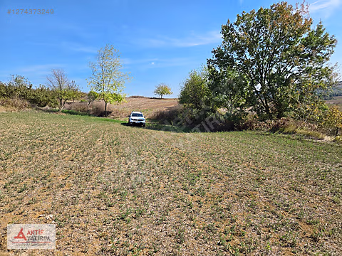 KANDIRA'DA YERLEŞİM KENARI TERAS KONUMDA 1210 M2 SATILIK TARLA - KOCAELİ KANDIRA fotoğraf 5