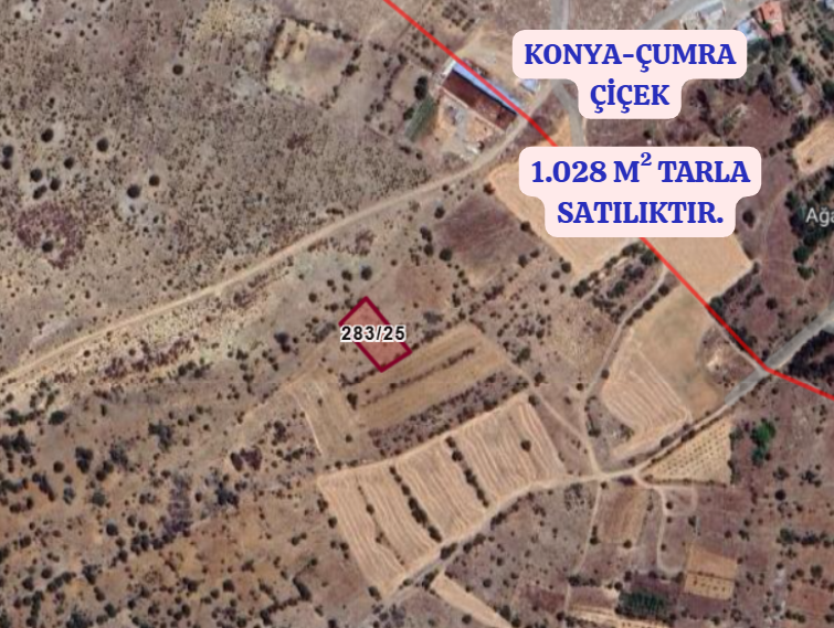 KONYA ÇUMRA ÇİÇEK  KÖYÜNDE 1.028  M² TARLA  SATILIKTIR - KONYA ÇUMRA fotoğraf 2