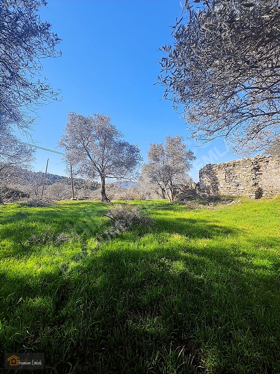 MİLAS KARACAHİSARDA KÖY İÇİ KAĞİR EV VE 980 M2 ARSASI - MUĞLA MİLAS fotoğraf 8