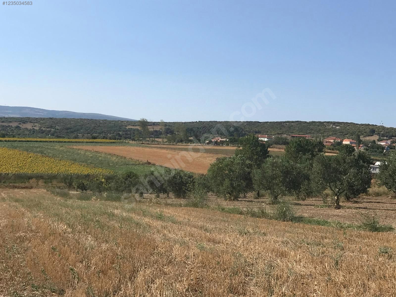 BURSA KARACABEY HARMANLI KÖYÜNDE 2.500  M² TARLA SATILIKTIR - BURSA KARACABEY fotoğraf 24