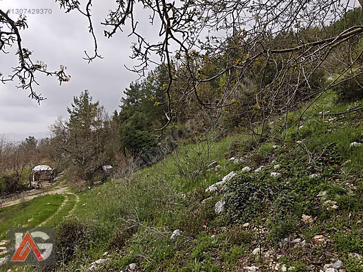 KARACAÖREN 877m2 yol cepheli - ANTALYA KUMLUCA fotoğraf 5