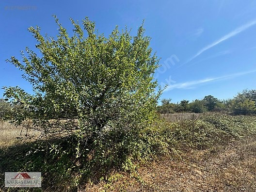 MUSTAFAKEMALPAŞA SOĞUCAK 7.055 M2 ARAZİ - BURSA MUSTAFAKEMALPAŞA fotoğraf 4