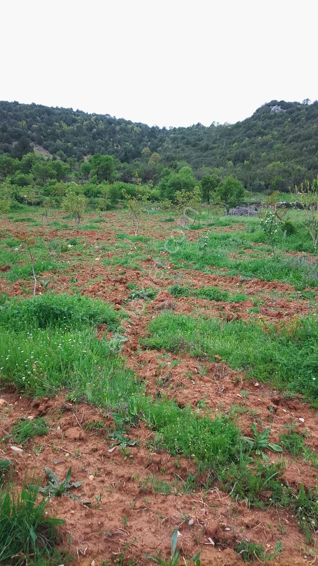 Burdur Ağlasun Hisarköy Muhteşem Konumda Yol Su Sorunu Olmayan Satılık Tarla - BURDUR AĞLASUN fotoğraf 3