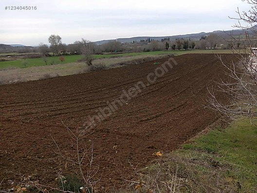 BURSA MUSTAFAKEMALPAŞA ÇARDAKBELEN KÖYÜ'NDE 5.275 M²  TARLA SATILIKTIR - BURSA MUSTAFAKEMALPAŞA fotoğraf 6