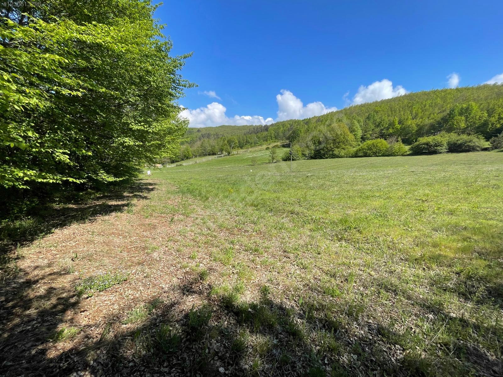 BURSA İZNİK CANDARLI'DA 6.517 M²  TARLA  SATILIKTIR. - BURSA İZNİK fotoğraf 16