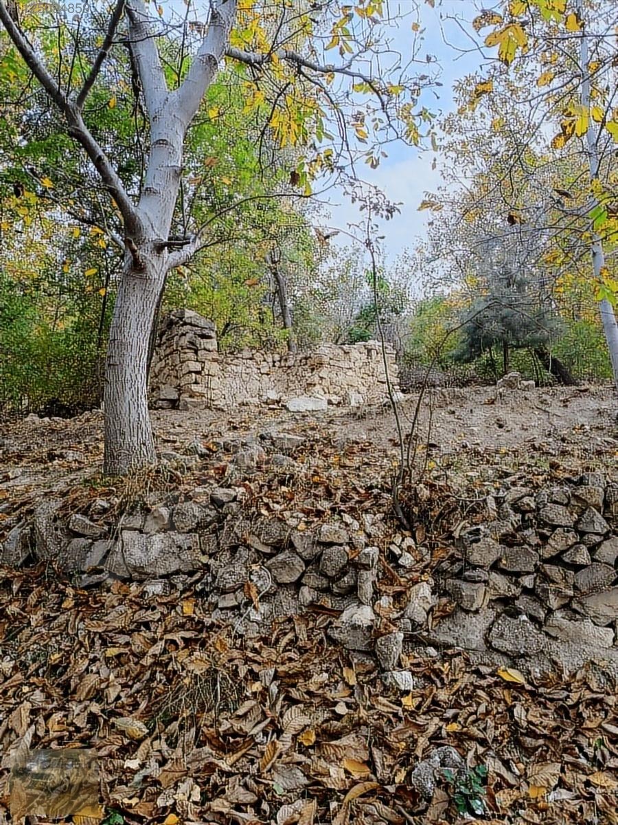 Kemer belenlide kòyiçi arsa bahçe suyu sınırsız sulama - BURDUR KEMER fotoğraf 19