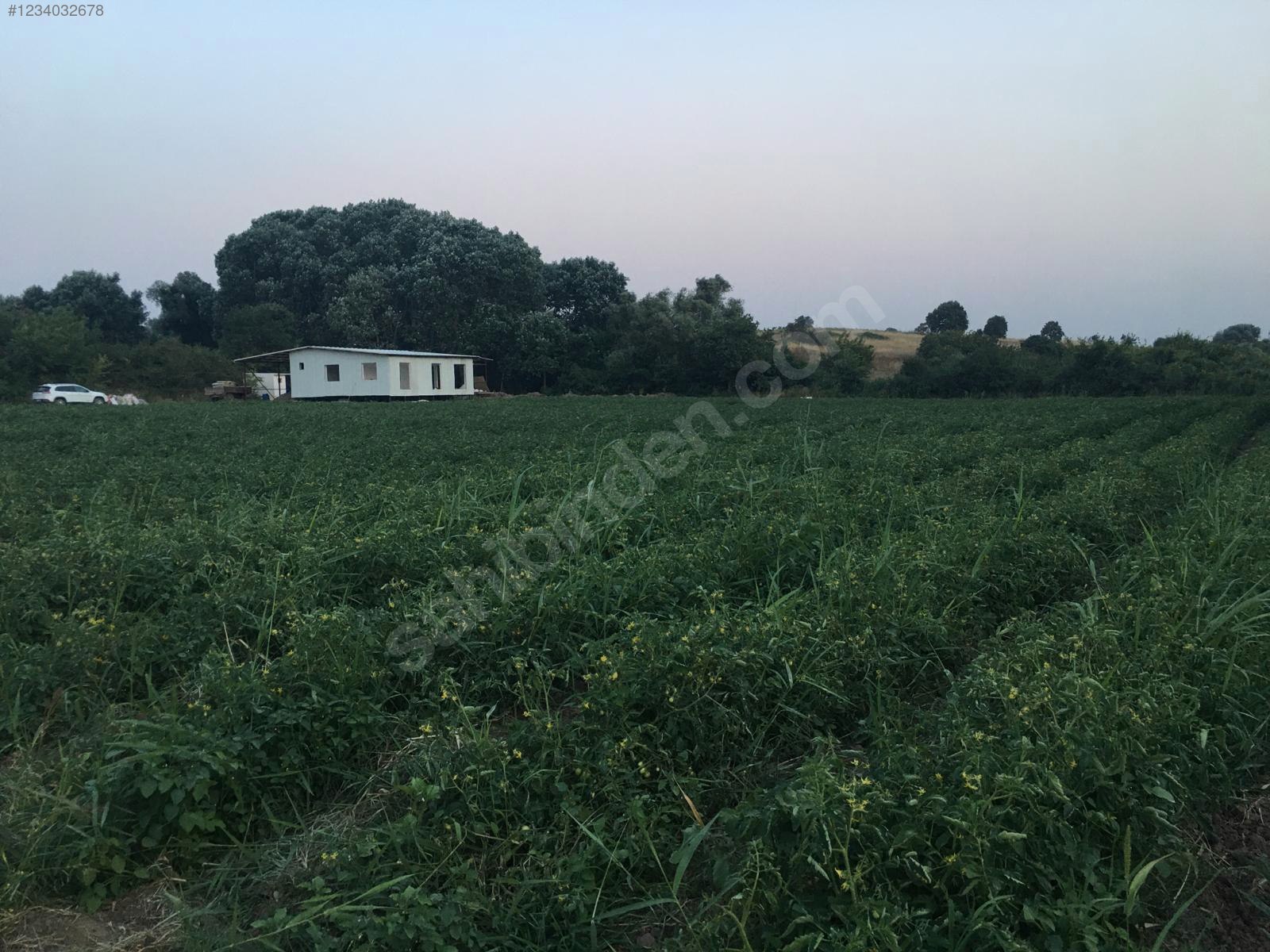BURSA KARACABEY HARMANLI'DA 7.650 M²  TARLA (İÇİNDE 90 M² EV VAR)   SATILIKTIR. - BURSA KARACABEY fotoğraf 23