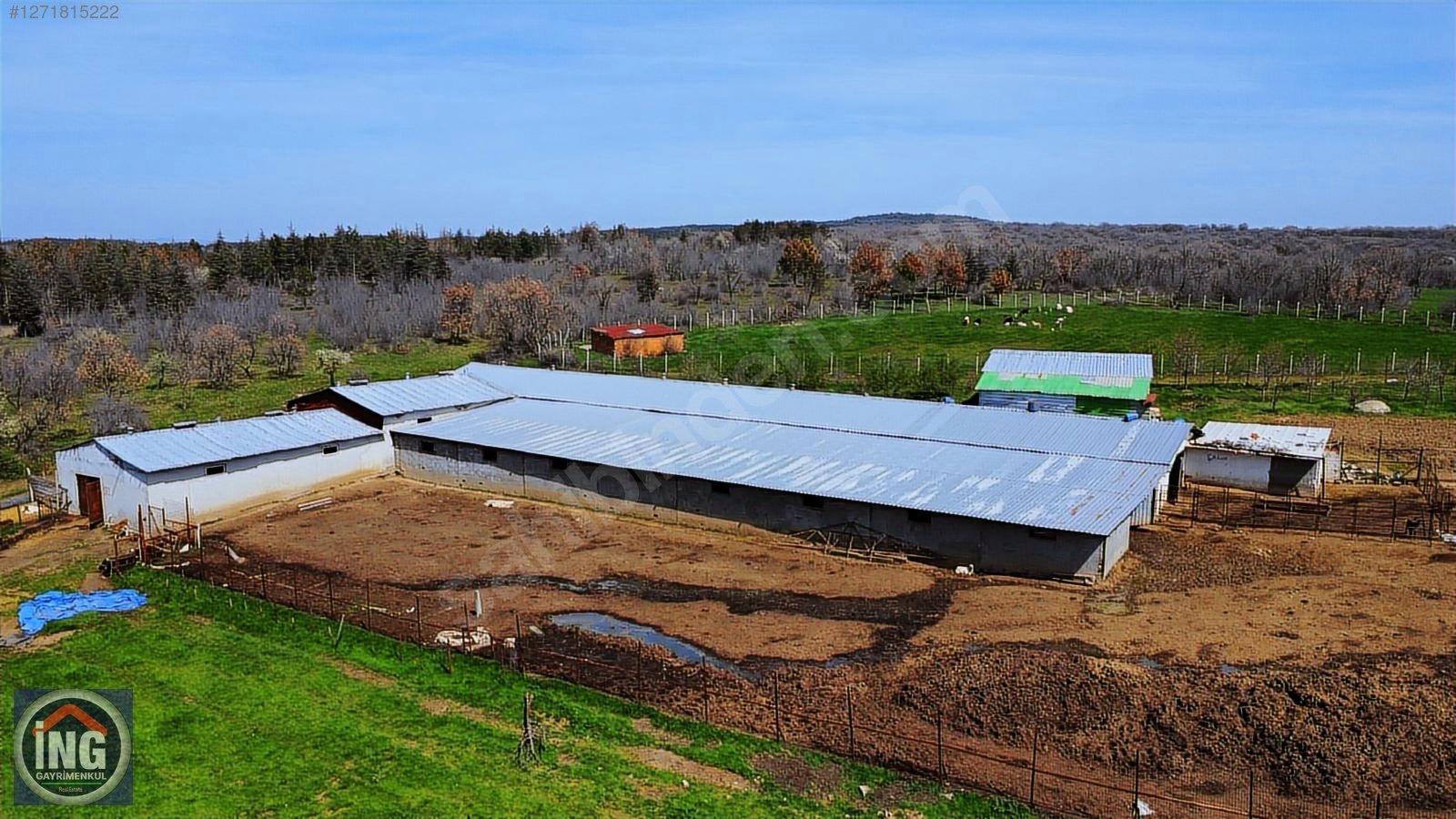 KIRKLARELİ YÜNDALAN'DA HAZIR KURULU RUHSATLI 18 DÖNÜM ÇİFTLİK - KIRKLARELİ MERKEZ fotoğraf 6