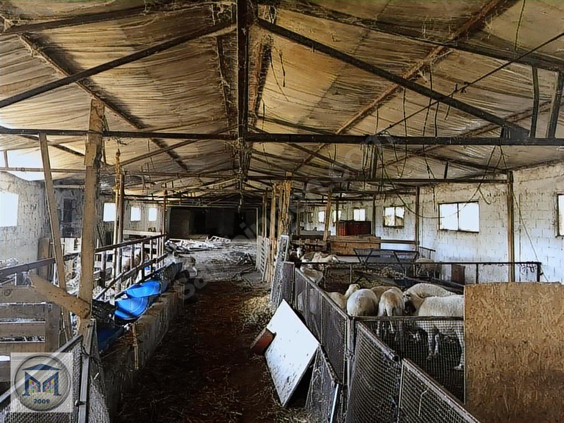 EDREMİT ÇIKRIKÇI KÖYÜNE YAKIN 3000 M2 KÖŞE SATILIK BAHÇE - BALIKESİR EDREMİT fotoğraf 5