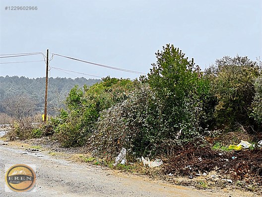 Riva da 1. bölgede köşe konum deniz manzaralı arsa - İSTANBUL BEYKOZ fotoğraf 15