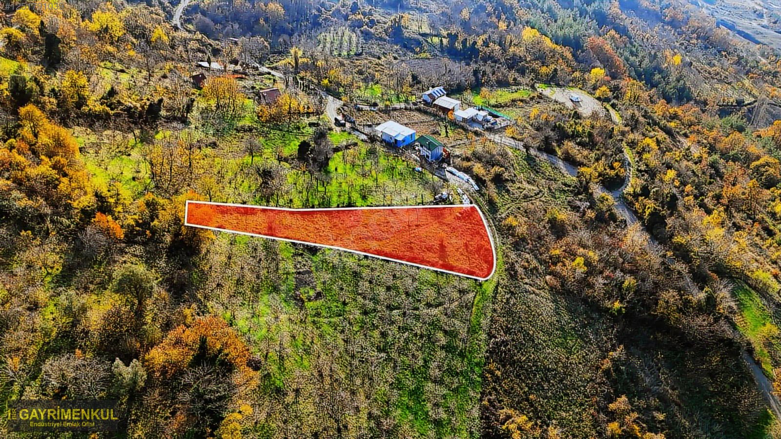 GEYVE DEREKÖYDE 1299 M2 SAKARYA NEHRİ MANZARALI TARLA - SAKARYA GEYVE fotoğraf 23