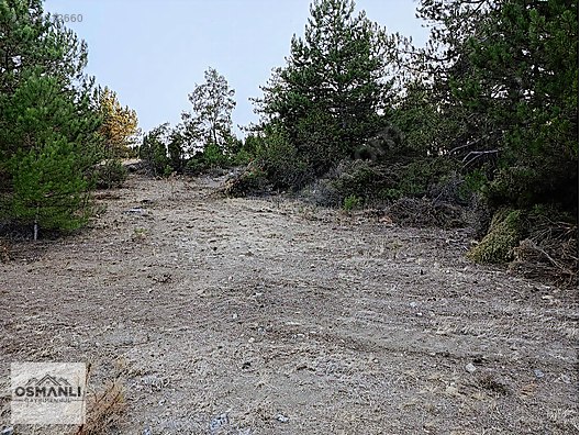 ARAÇ TAKASLI 3.150 M2, İLÇEYE 5 DK MESAFEDE YATIRIM FIRSATI - BİLECİK SÖĞÜT fotoğraf 14