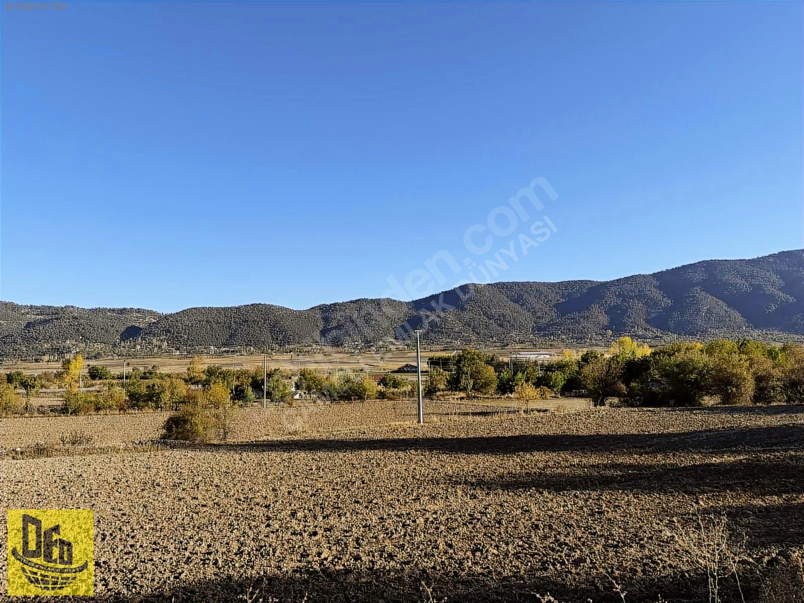 ÇAMELİ YUMRUTAŞ 5.472m2 TARLA İÇİNDE 4000m2 SERA TESİSİ - DENİZLİ ÇAMELİ fotoğraf 3