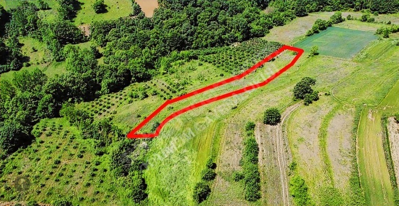 KÖYÜN DİBİNDE 2,351m2 EKSTRA UYGUN KAÇIRILMAYACAK FIRSAT TARLA - KOCAELİ İZMİT fotoğraf 4
