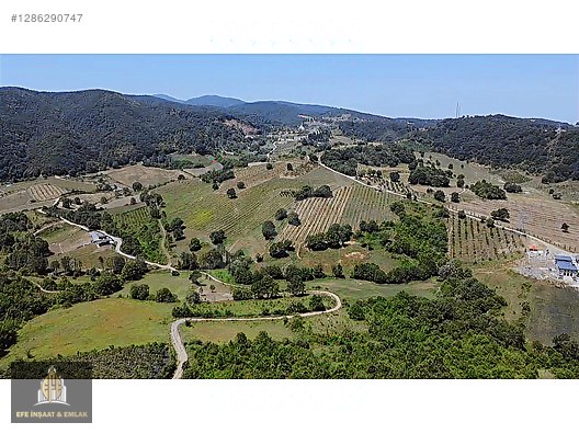 ALTINOVA ÖRENCİKTE 6982 M2 YOLA 66 M YATIRIMA UYGUN MÜSTAKİL - YALOVA ALTINOVA fotoğraf 15