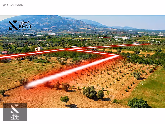 Kemalpaşa Armutlu Satılık 2300 m2 Bahçe Müstakil Parsel Tek Tapu - İZMİR KEMALPAŞA fotoğraf 11